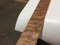 MegaCurl_BugHoles_3