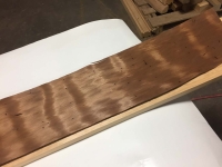 MegaCurl_BugHoles_6