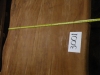 dscn6951