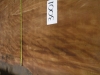dscn6953
