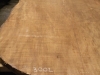 dscn6965