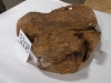 dscn7113_0