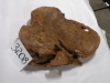 dscn7114_0