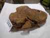dscn7116_0