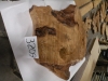 dscn7119_0
