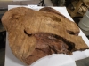 dscn7122_0
