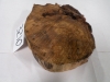 dscn7128_0