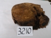 dscn7130_0