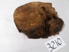 dscn7131_0