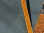 Set_1_Rice