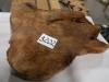 dscn7060
