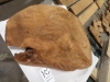 dscn7136