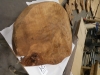 dscn7137