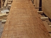 2022_b15-copy