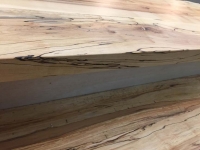 Ancientwood-1