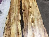 Ancientwood-14 copy