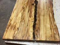 Ancientwood-13