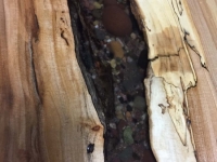 Ancientwood-17