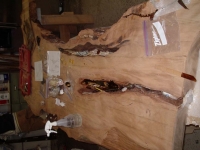 Thompson_Desk_Raw5