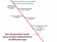 Ancient Kauri Timeline_2