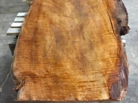 TC_Table_Base13
