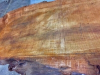 TC_Table_Base7