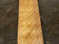 veneer_2015-m