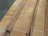 veneer_2015-s