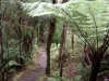 imgp1561_1