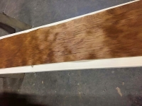 Whitebait_Veneer_10