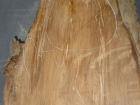 DSCN9978